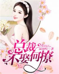 总裁不苏简介