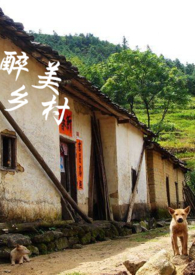 最美乡村小说