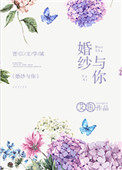 婚纱与你小说全文免费