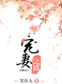 小说 宠妻之路