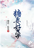 糖婚全文免费阅读