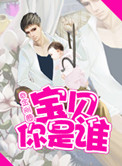 宝贝你是是谁