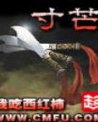 寸芒主角叫什么