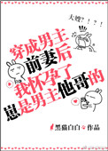 我成了他大嫂 小说