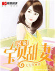 权宠小老婆 小说