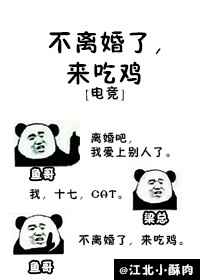 不离婚来吃鸡txt