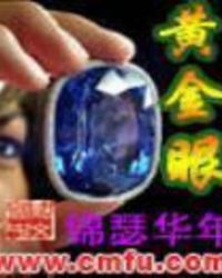 黄金眼雾灯