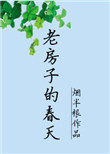 老房子的春天完整版小说
