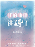 我的新郎逃婚了全文
