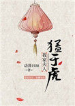 我家夫人 小说