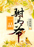 一品驸马爷春溪笛晓txt