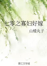 七零之寡妇好嫁讲的什么