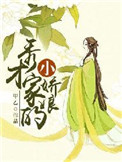 秀才家的小娇娘 作者:甲乙