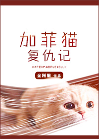 加菲猫复仇记讲的是什么故事