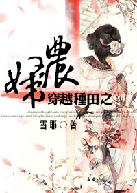 穿越种田之农妇屯田小说