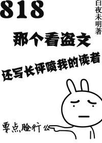 盗文小说网安全吗