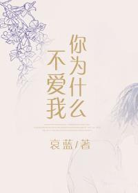 你为什么不爱我小说txt