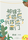 瞎子求婚后我嫁进了豪门百度云