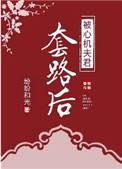 第一本《被心机夫君套路后》