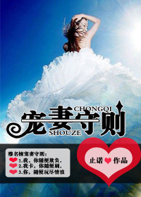 宠夫守则 小说