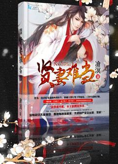 贤妻难求之