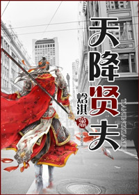 天降贤淑男小说全文免费阅读