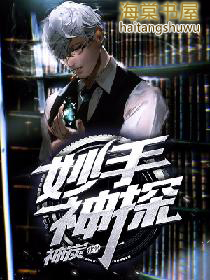 妙手神探王雷电视剧免费观看