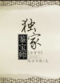 鉴宝大师免费阅读