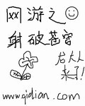 网游之刺破苍穹 小说