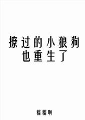 撩过的小狼狗也重生了笔趣阁
