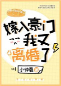嫁入豪门后我又离婚了小说