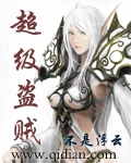 超级盗贼小说全文免费阅读