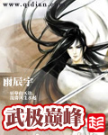武极巅峰全集