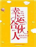 幸运合伙人讲的什么
