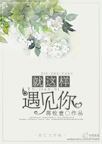 我就这样遇见你