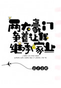 两大豪门争着让我继承家产