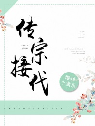 传宗接代是男孩还是女孩