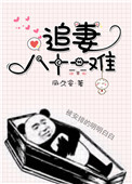 追妻八十一难 百度网盘