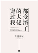 大佬们宠我