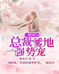 一胎双宝总裁爹地忙