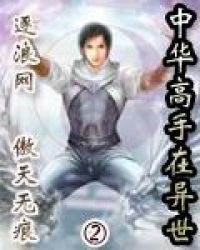 中华高手在异世