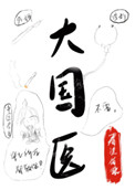 大国医罗大伦小说