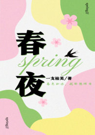 春夜浓晴小说全文阅读免费