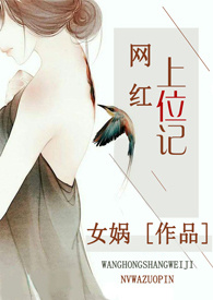 网红上位记全文完结