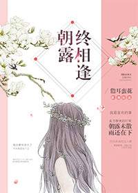 朝露终相逢小说完整版