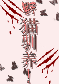野猫驯养 小说 下载