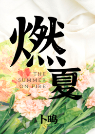 燃艋小说集