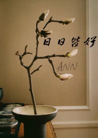 日日皆好(完本)
