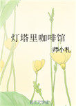 灯塔里咖啡馆txt百度云