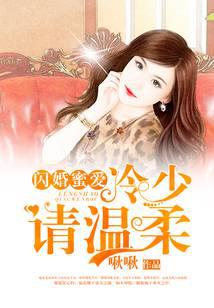 闪婚霸爱:冷傲总裁心尖宠 小说